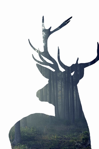 Picture of FOREST DEER SILHOUETTE