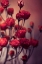 Picture of RED FLOWERS