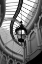 Picture of ROTUNDA