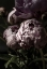 Picture of FLOWER 3
