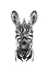 Picture of ZEBRA ILLUSTRATION