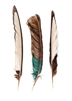 Picture of THREE FEATHERS