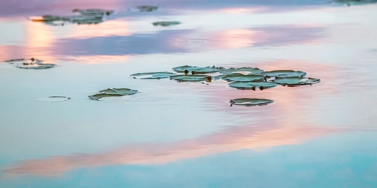 Picture of CLOUD REFLECTIONS