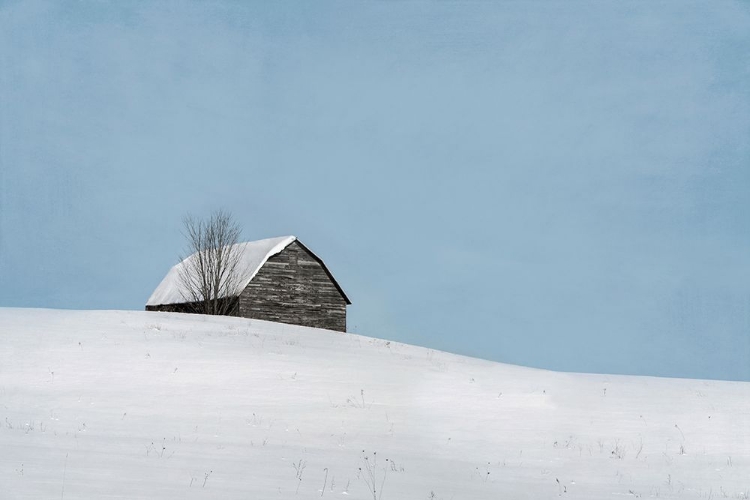 Picture of MINIMALIST BARN