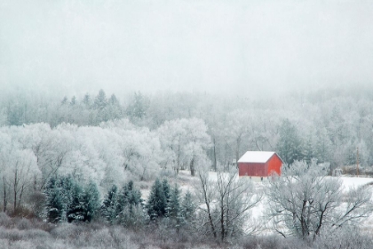 Picture of RED BARN