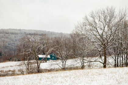 Picture of TEAL FARMHOUSE