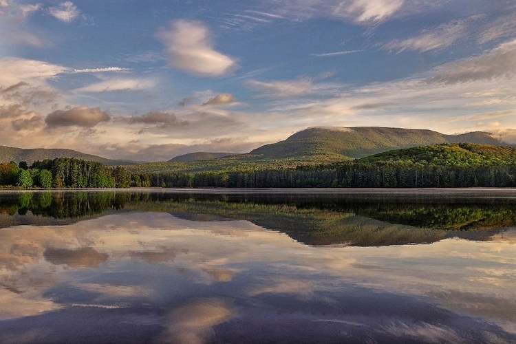 Picture of MORNING COOPER LAKE