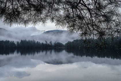 Picture of RAINY DAY COOPER LAKE