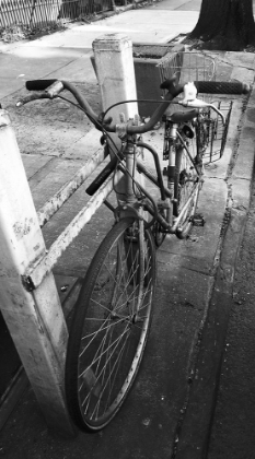 Picture of STREET BICYCLE