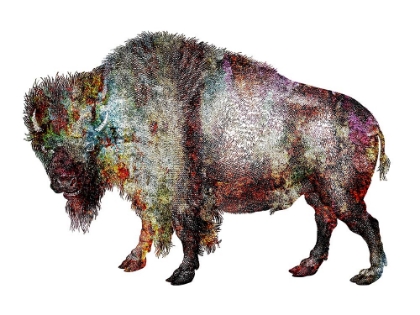 Picture of RUSTIC BISON 5