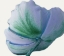 Picture of FLOREST DELIGHT JADE