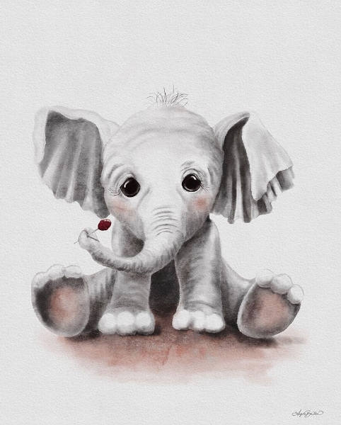 Picture of LOLLI THE BABY ELEPHANT