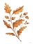 Picture of FALL LEAF STEM I