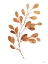 Picture of FALL LEAF STEM III