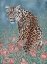 Picture of LEOPARD IN THE FLOWERS