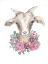 Picture of ROSIE THE GOAT