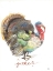Picture of GATHER TURKEY