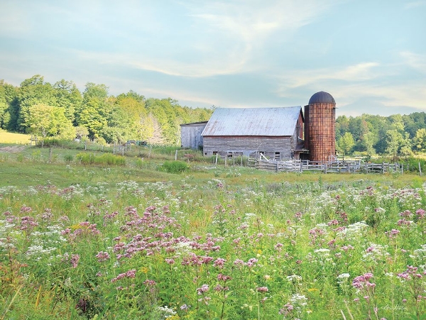 Picture of SUMMER ON THE FARM