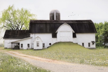 Picture of BIG COUNTRY BARN