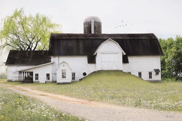 Picture of BIG COUNTRY BARN