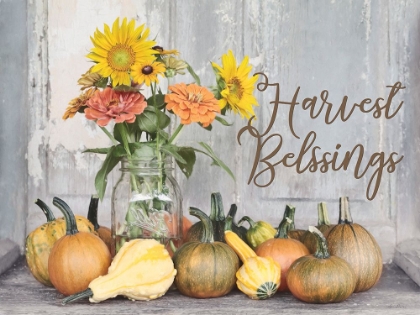 Picture of HARVEST BLESSINGS