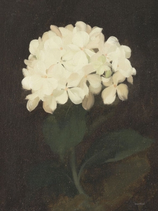 Picture of VINTAGE WHITE HYDRANGEA