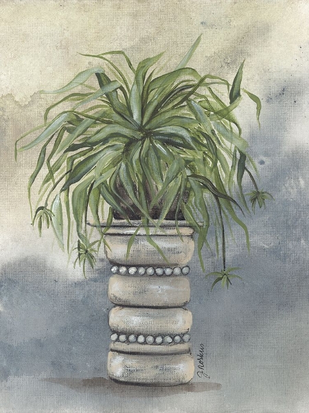 Picture of SPIDER PLANT IN POTTERY