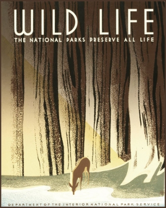 Picture of WILD LIFE