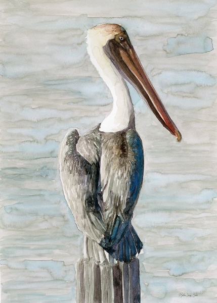 Picture of BROWN PELICAN 1