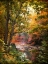 Picture of STREAM OF CONSCIOUSNESS