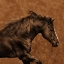 Picture of EASTWARD GALLOP