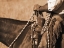 Picture of BUCKAROO I