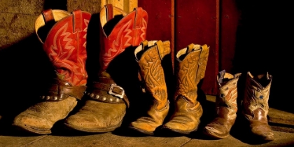 Picture of FAMILY OF BOOTS