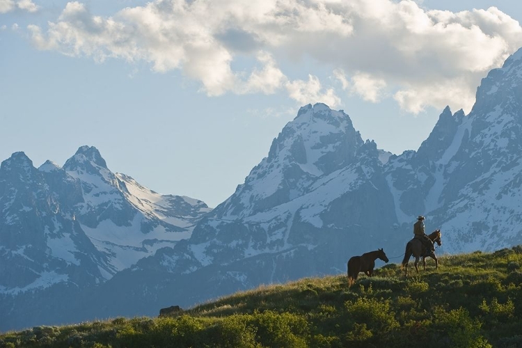 Picture of INTO THE TETONS