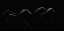 Picture of MOONLIGHT DANCERS