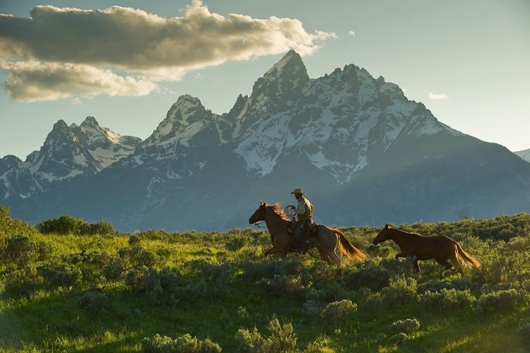 Picture of ALONG THE TETON TRAIL