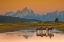 Picture of EARLY MORNING