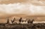 Picture of PRAIRIE SONG