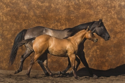 Picture of MOTHER AND SON