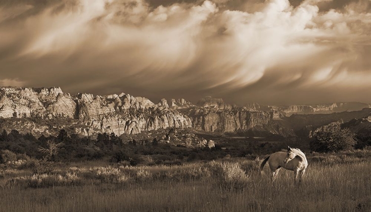 Picture of ON THE UTAH PLAINS