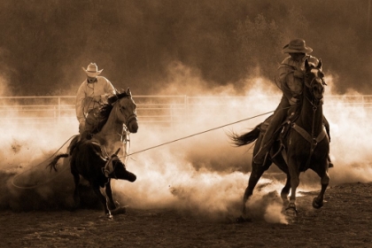 Picture of ROPING ON THE RANCH ~ SEPIA