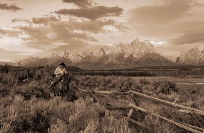 Picture of RIDIN FENCES I   SEPIA