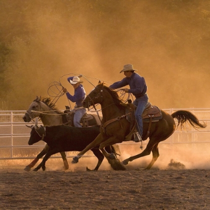 Picture of ROPING ON THE RANCH II