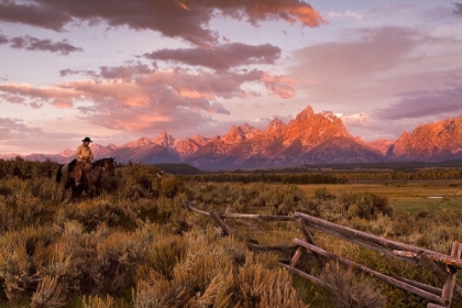 Picture of RIDIN FENCES 1 ~ COLOR