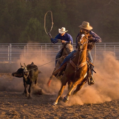 Picture of ROPING ON THE RANCH III