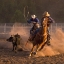 Picture of ROPING ON THE RANCH III