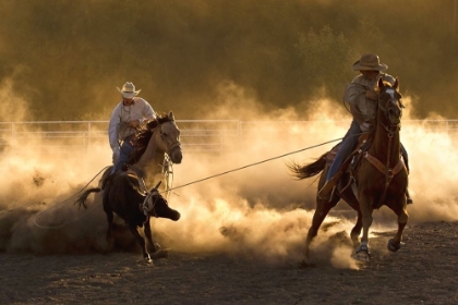 Picture of ROPIN ON THE RANCH