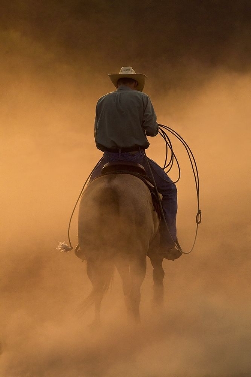 Picture of TEO ON THE RANCH