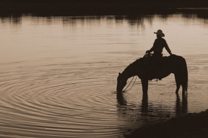 Picture of TEXAS SUNSET ~ SEPIA