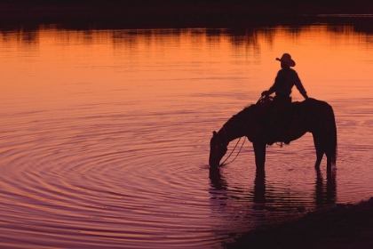 Picture of TEXAS SUNSET